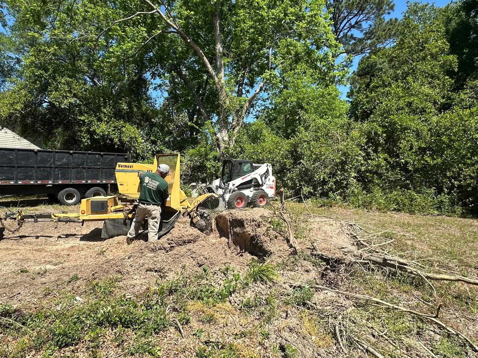 El Costeño Tree Service LLC